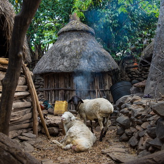 Konso - Hut